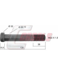 CASALS21243