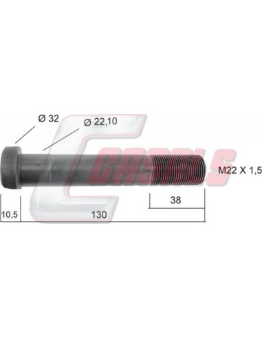 CASALS21243