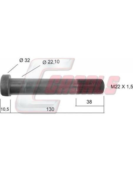 CASALS21243