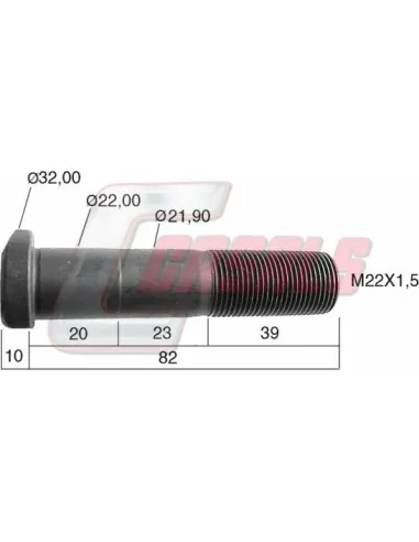 CASALS21245