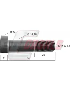 CASALS21250