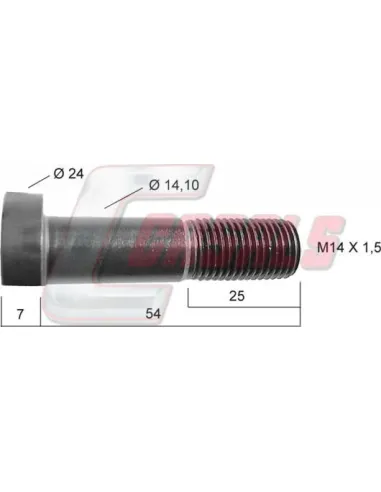 CASALS21250