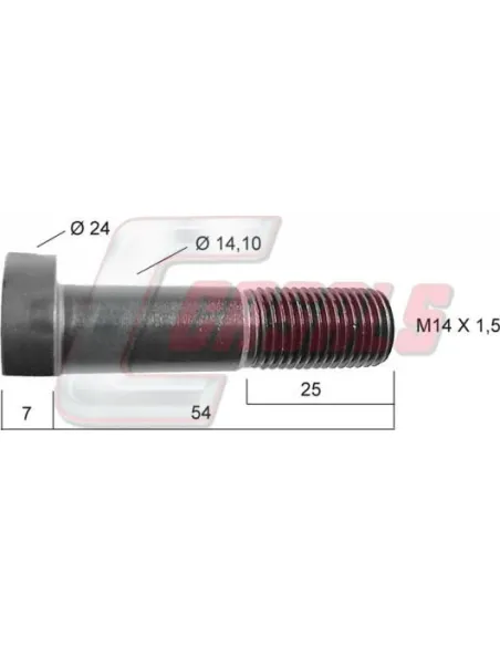 CASALS21250