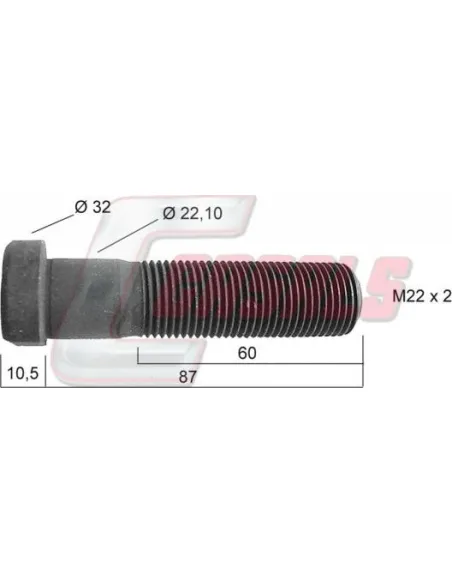 CASALS21251