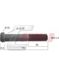 CASALS21252