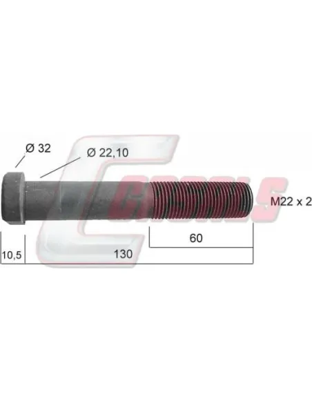 CASALS21252