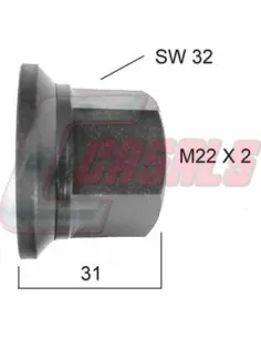 CASALS21254
