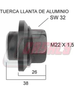 CASALS21256