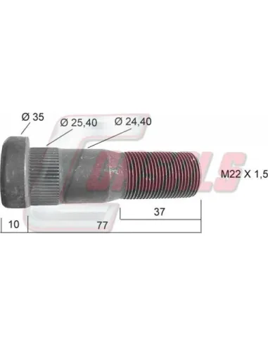 CASALS21259