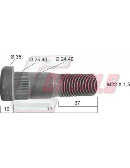 CASALS21259