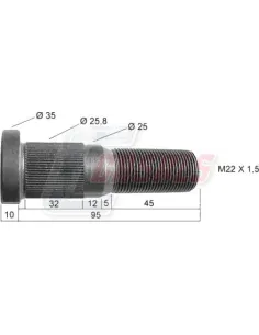 CASALS21260