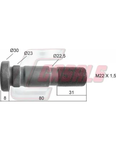 CASALS21262