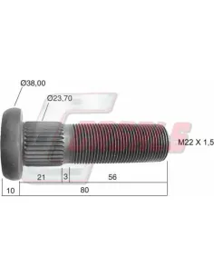CASALS21266