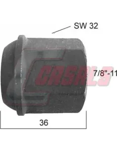 CASALS21270