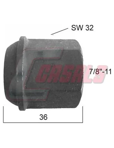 CASALS21270