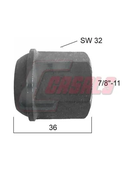 CASALS21270