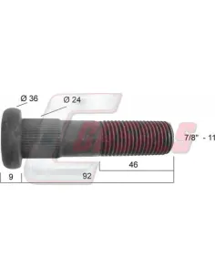 CASALS21276
