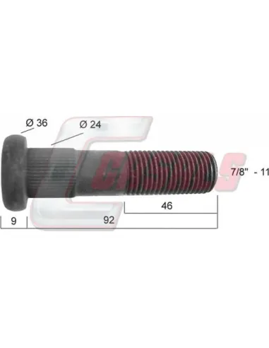 CASALS21276
