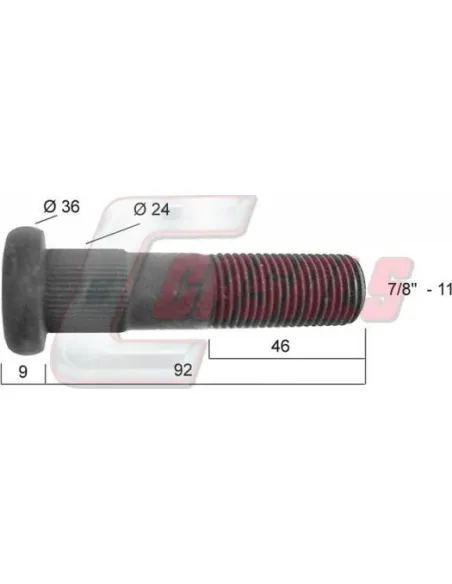 CASALS21276