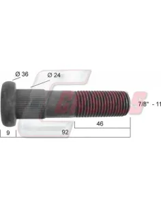CASALS21277