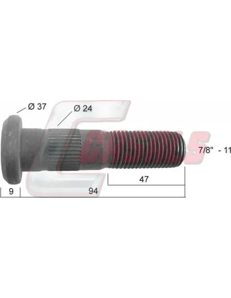 CASALS21278