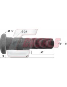 CASALS21279