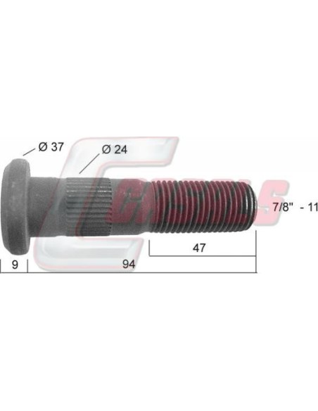 CASALS21279