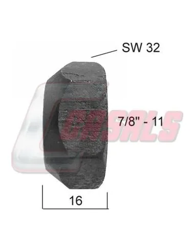 CASALS21280