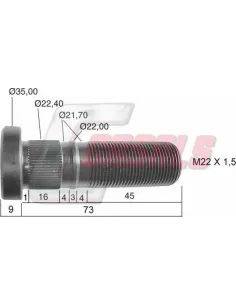 CASALS21282