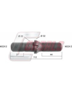 CASALS21289