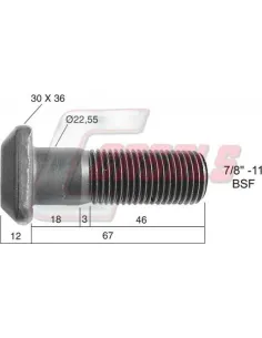 CASALS21292