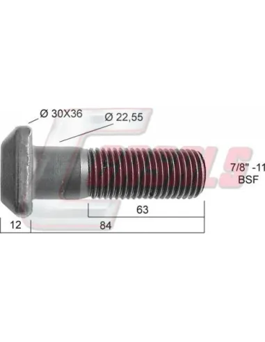 CASALS21293