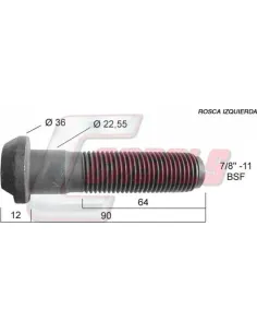 CASALS21298