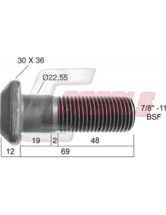 CASALS21305