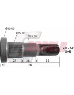 CASALS21306
