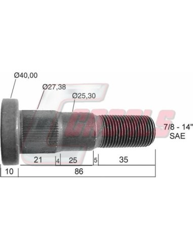 CASALS21306
