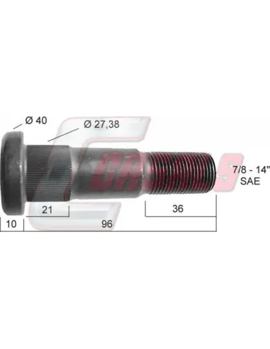 CASALS21307