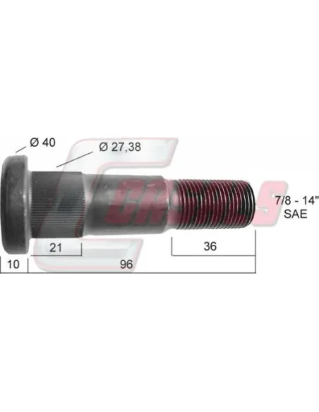 CASALS21307
