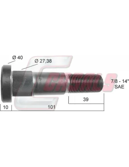 CASALS21308