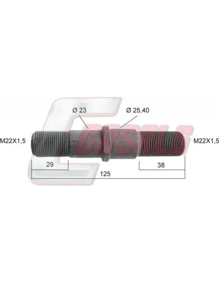CASALS21318