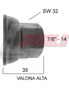 CASALS21320