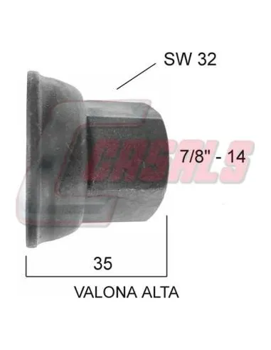 CASALS21320