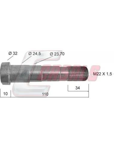 CASALS21326