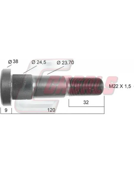 CASALS21328