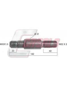 CASALS21330