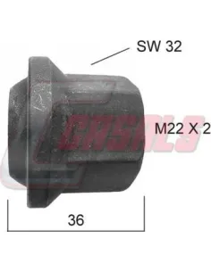 CASALS21331
