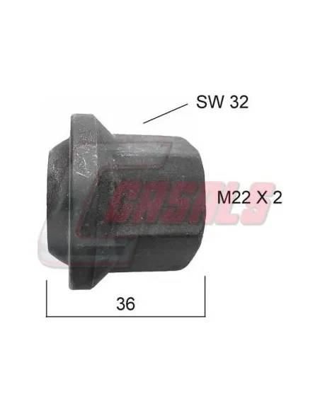 CASALS21331