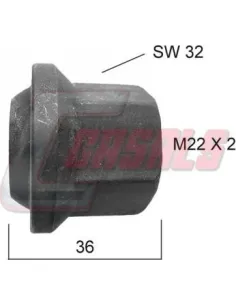 CASALS21335