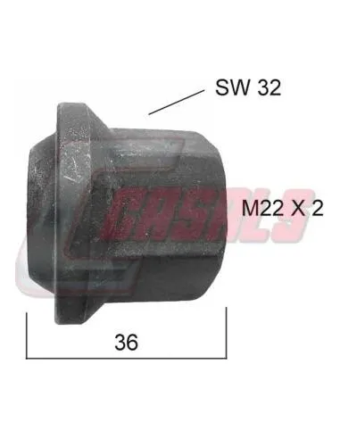 CASALS21335