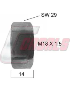 CASALS21339